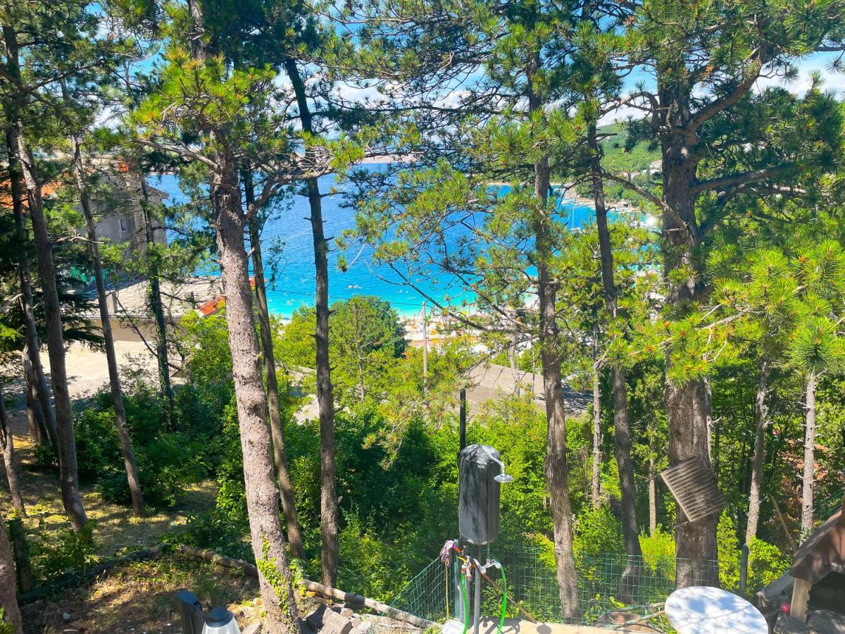 Apartmani Combaj 卓得诺沃 外观 照片